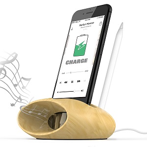 iPhone Dock & Sound Amplifier