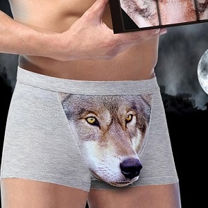 wolf briefs