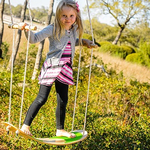 Tree Swing with Skateboard Seat