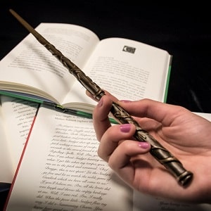 Hermione Granger's Wand