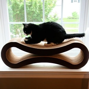 Cat Scratcher Lounge