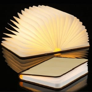 Folding LED Book Lamp