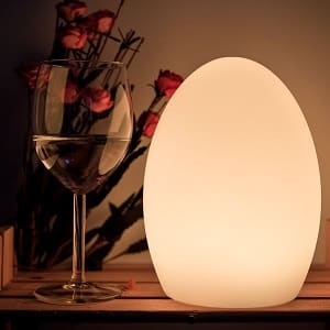 LED EGG Night Light