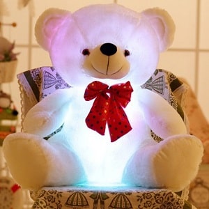 LED Light Up Teddy Bear