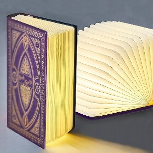 Harry Potter Book Light 