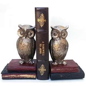 Wide Eyed Owl Bookend Pair