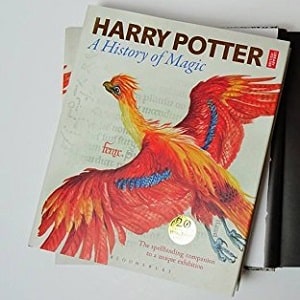 A History of Magic Book