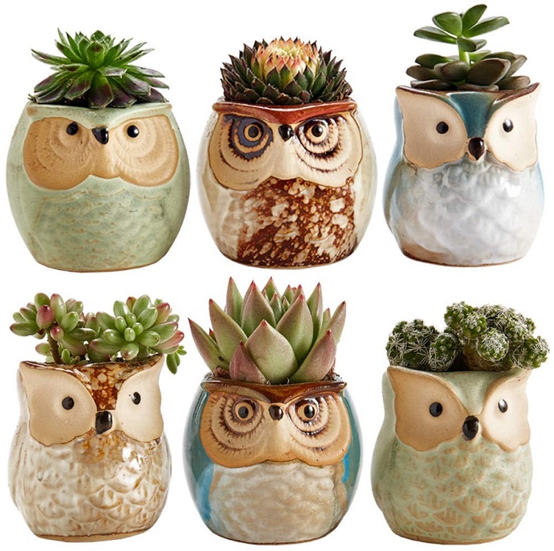owl plant pot
