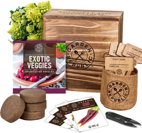 vegetable seed kit