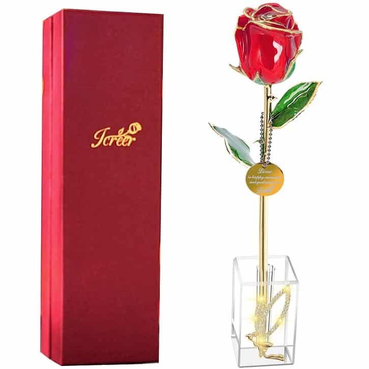 24k gold rose