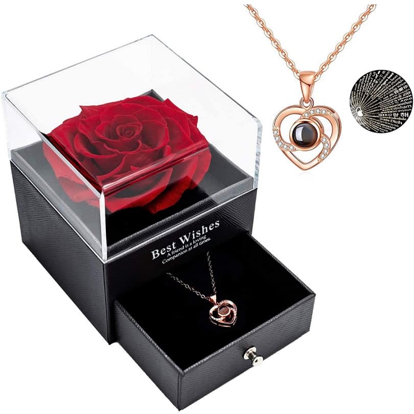 rose & necklace gift set