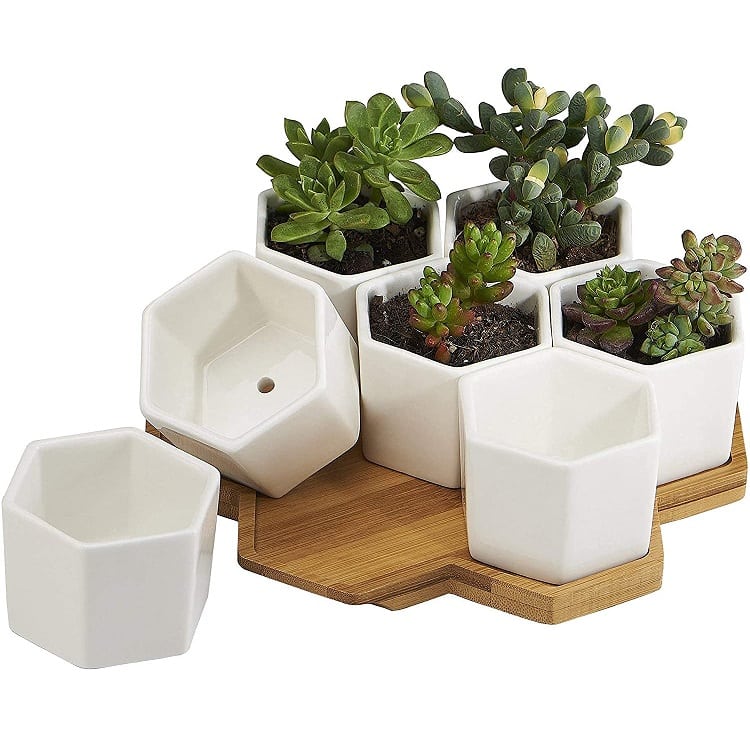 hexagon flower pot set