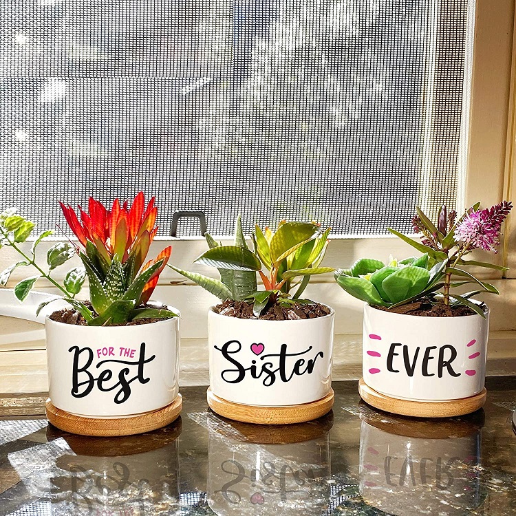 Best Sister Ever Succulent Pots
