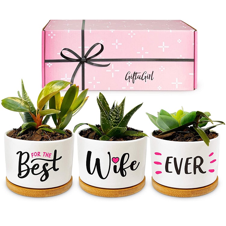 Best Wife Ever Succulent Pots - gift for plant loving wife