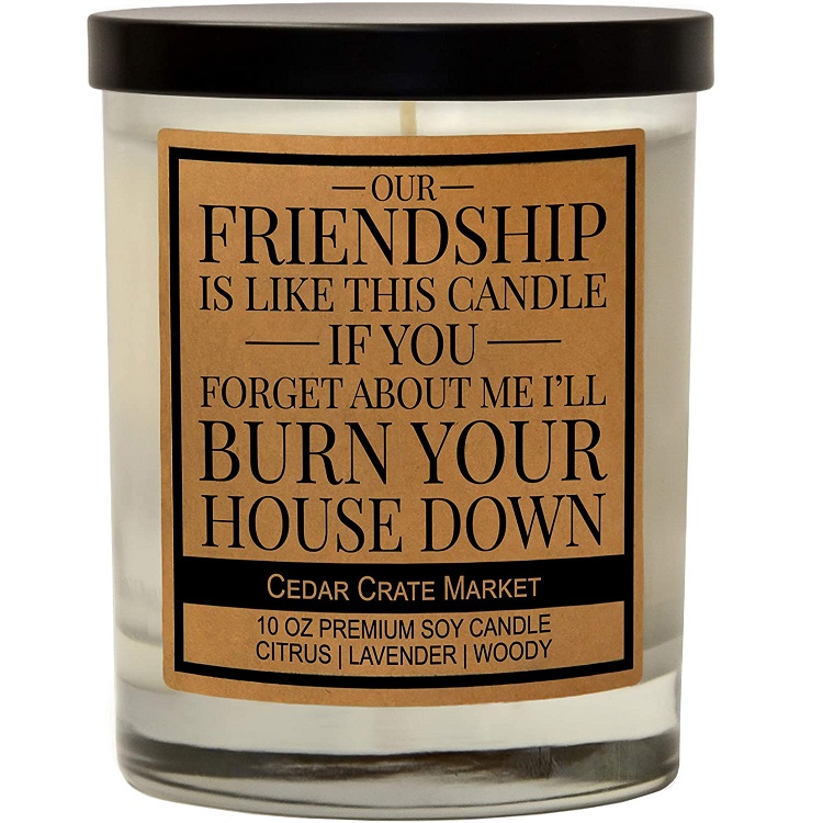 Funny Candle Freindship gift
