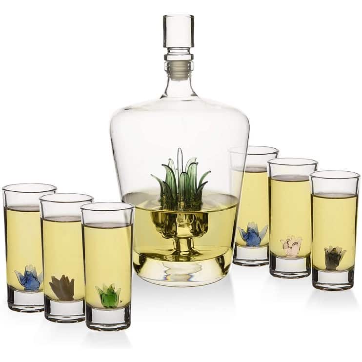 agave decanter set