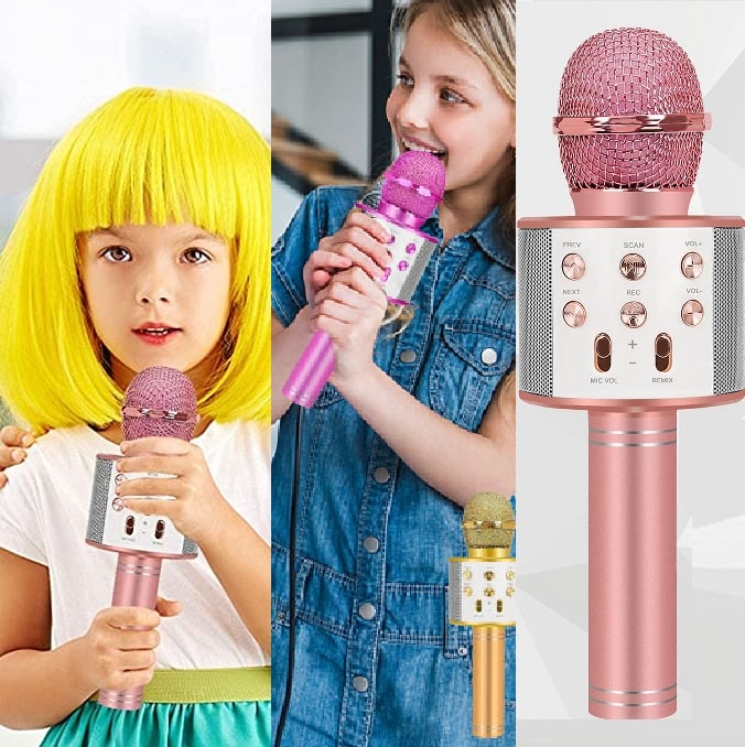 karaoke microphone