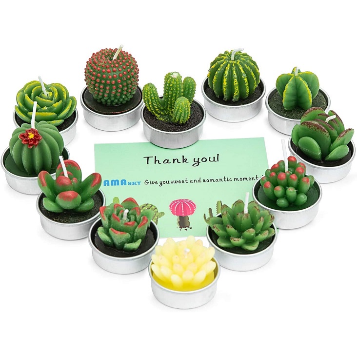 Cactus Candle Set