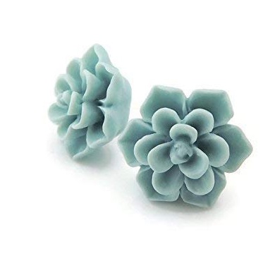 Succulent Earrings