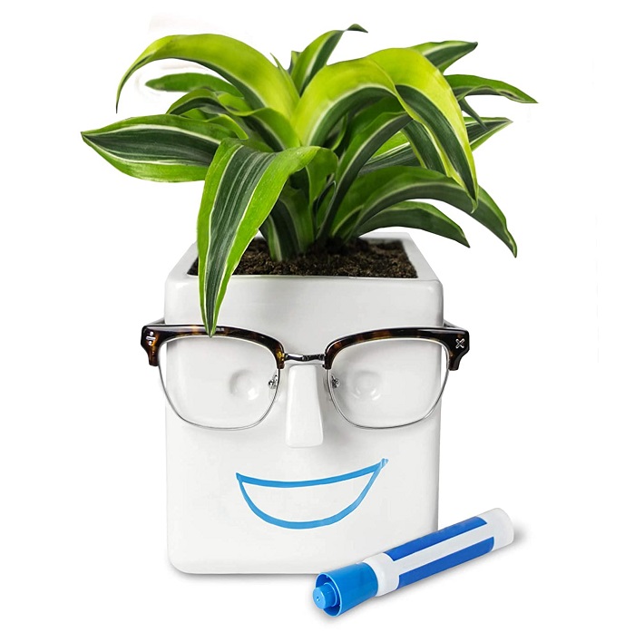 eyeglass holder planter