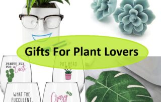 gifts for plant lovers