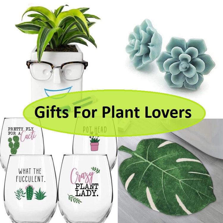 Gifts For Plant Lovers